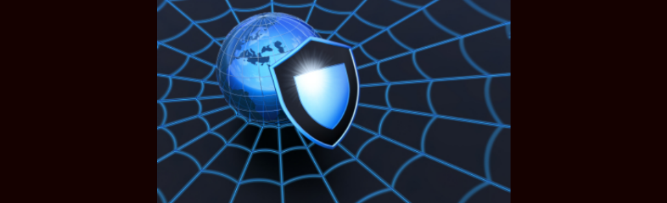 RAYAEGIS INFORMATION SECURITY
