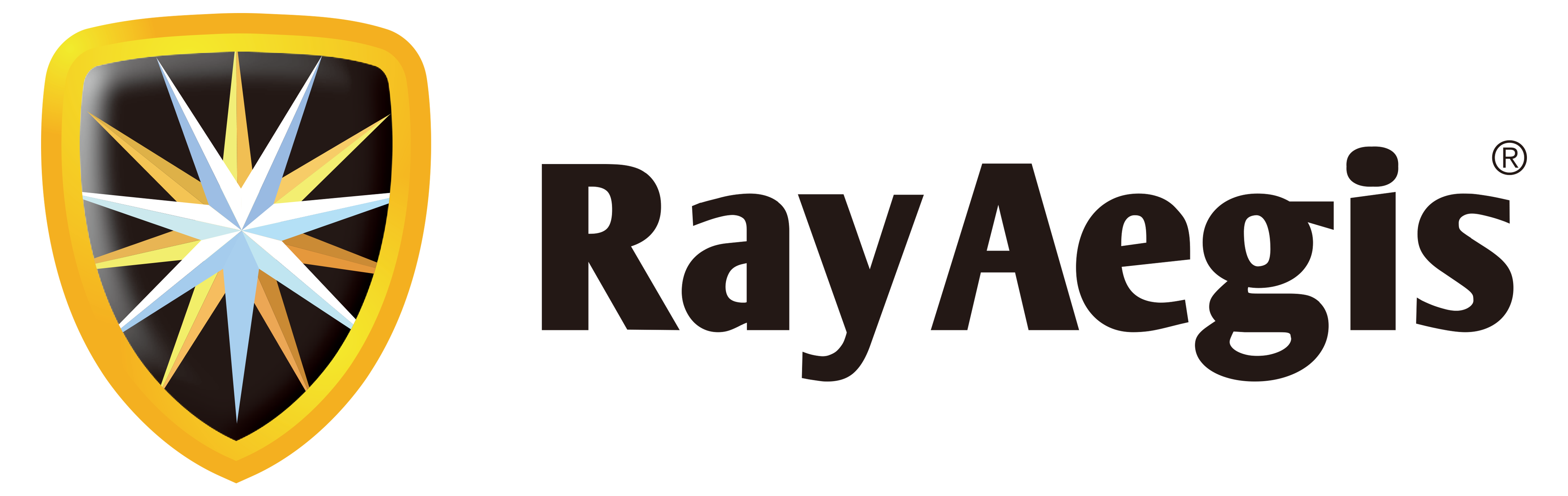RayAegis Information Security